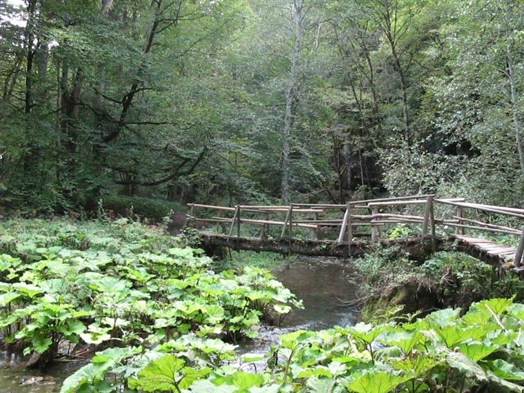 Übergänge